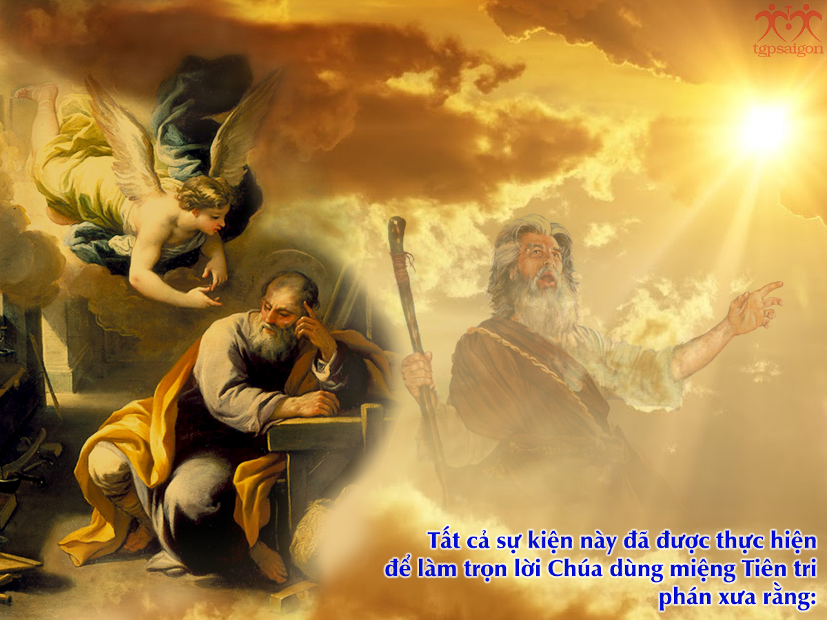 V 2017 CN4MV Nativity Mt1 18 24 8