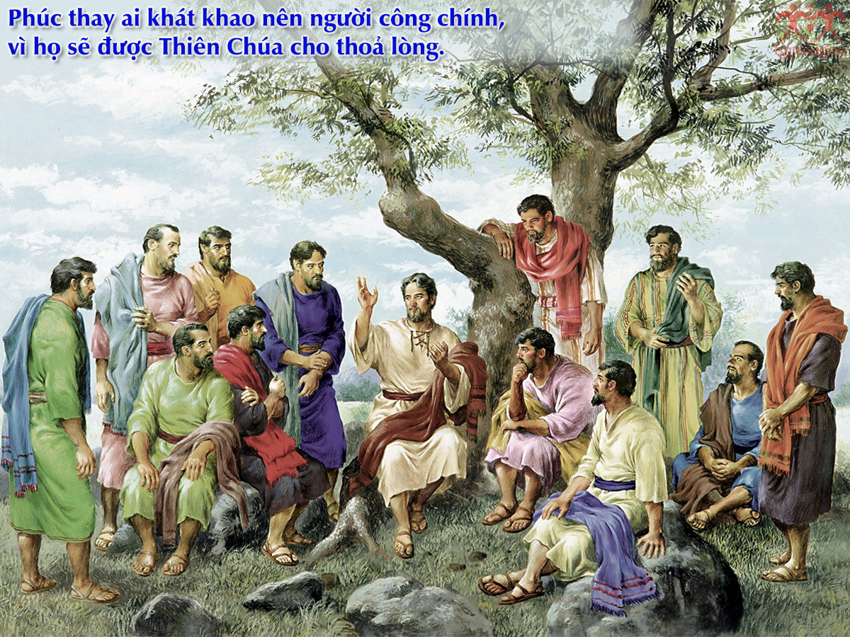 V 2017 CN4TN Beatitude Mt5 1 12 5