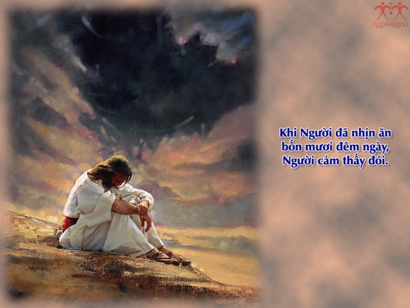 V 2017 CN1MC Temptation Mt4 1 11 2