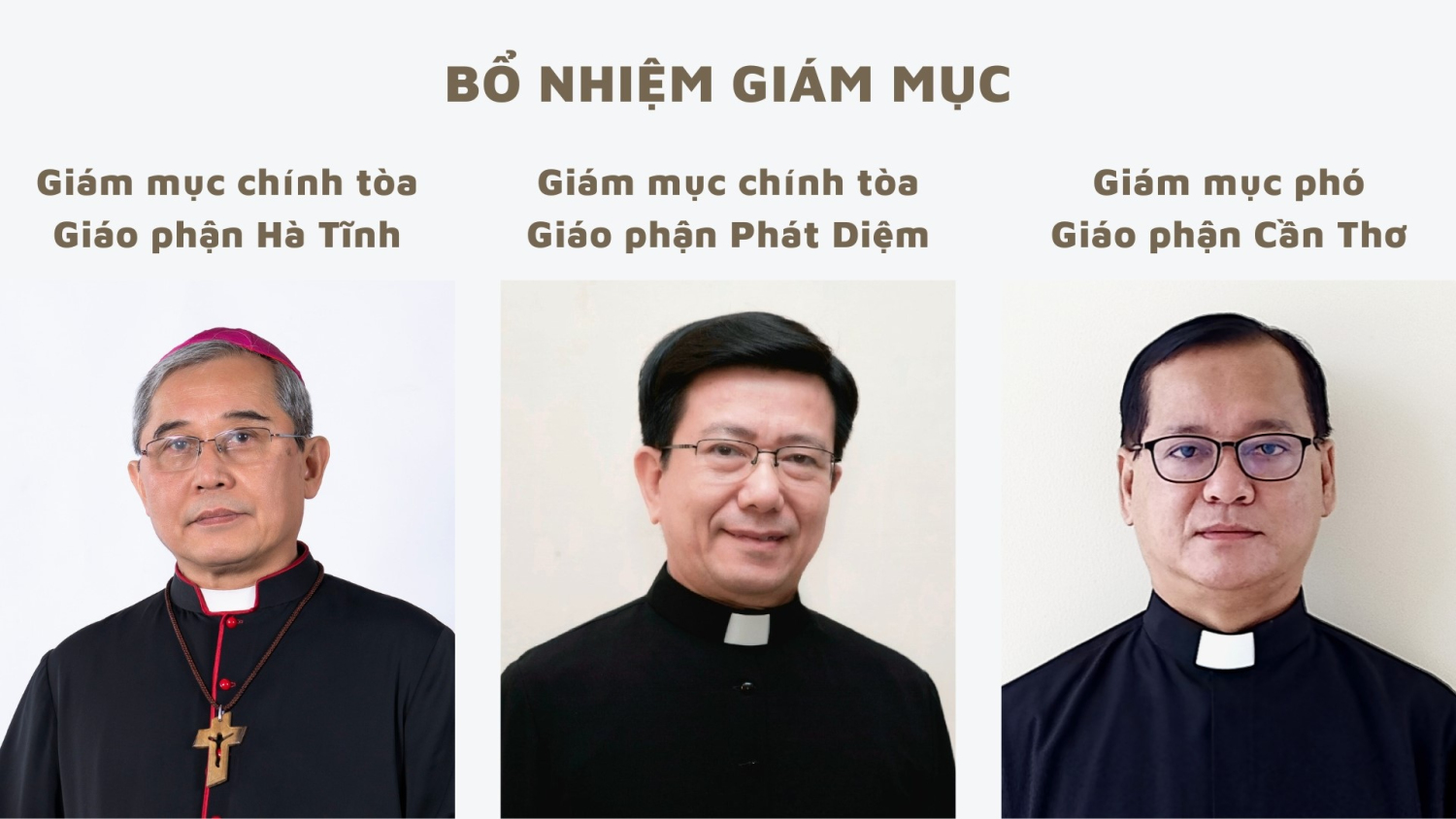 Bổ nhiệm Giám mục Hà Tĩnh, Phát Diệm, Giám mục phó Gp Cần Thơ