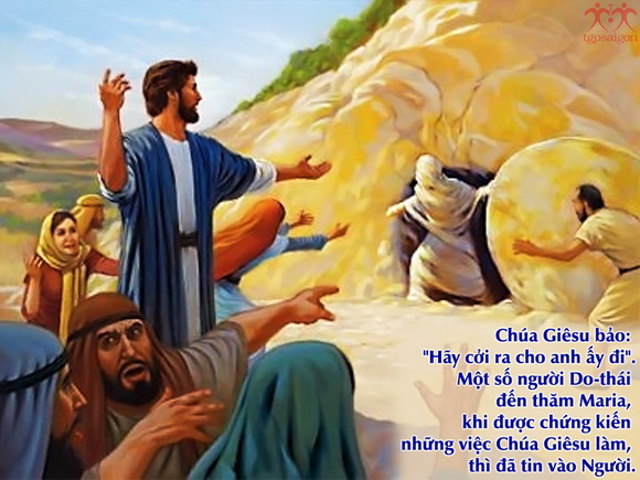 V 2017 CN5MC LazarusRisen Ga11 3 7 17 20 27 16