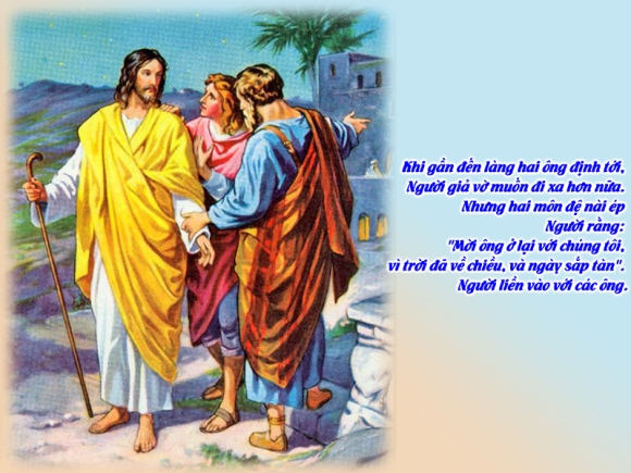 V CN3PS Lc24 13 35 15