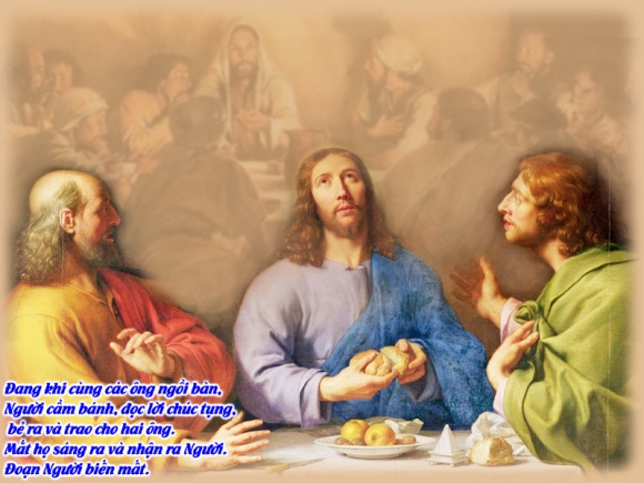 V CN3PS Lc24 13 35 16