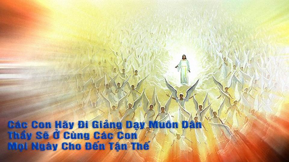 Học hỏi Phúc âm: Chúa nhật Chúa Thăng Thiên năm A