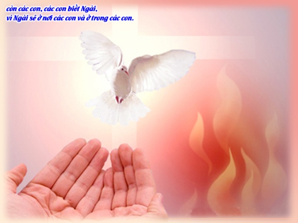 V CN6PS Advocate Ga14 15 21 4