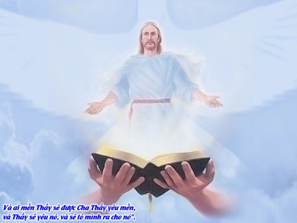 V CN6PS Advocate Ga14 15 21 9