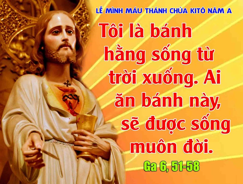 CN MINH MAU CHUA KITO A