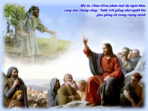 V 2014 CN16TN Wheat&Tares Mt13 24 43 1