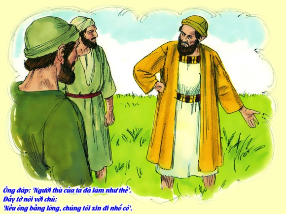 V 2014 CN16TN Wheat&Tares Mt13 24 43 4