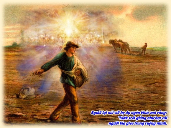 V 2014 CN16TN Wheat&Tares Mt13 24 43 7