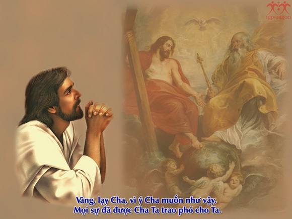 V 2017 CN14TN MeekAndHumble Mt11 25 30 3