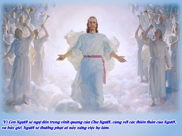 V 2014 CN22TN Mt16 21 27 8