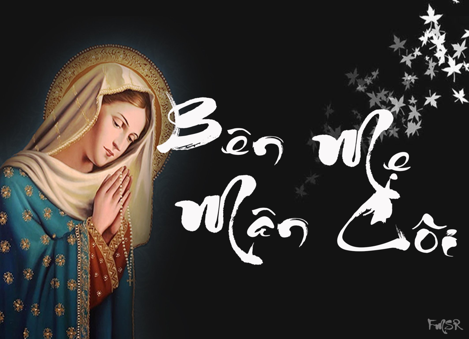 Thơ: Mỗi ngày, một chuỗi hạt Mân Côi và Tràng hoa Mân Côi