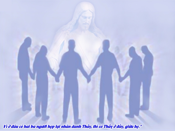 V 2014 CN23TN Mt18 15 20 6