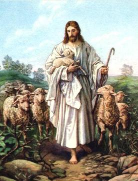 Suy Niệm Thánh vịnh 23 - Lm. Phêrô Phạm Ngọc Lê