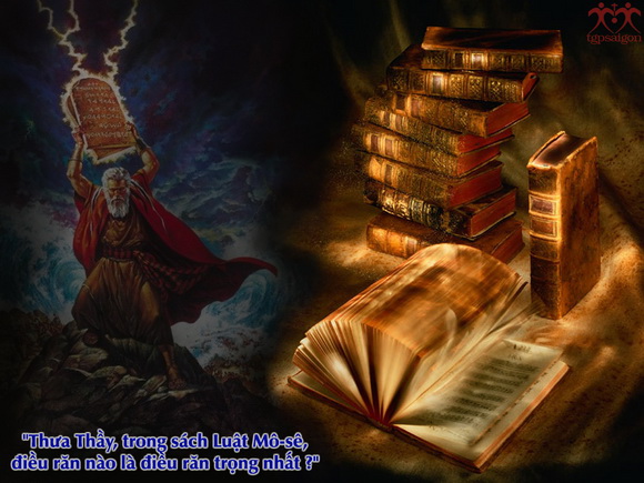 V 2017 CN30TN GreatCommand Mt22 34 40 3