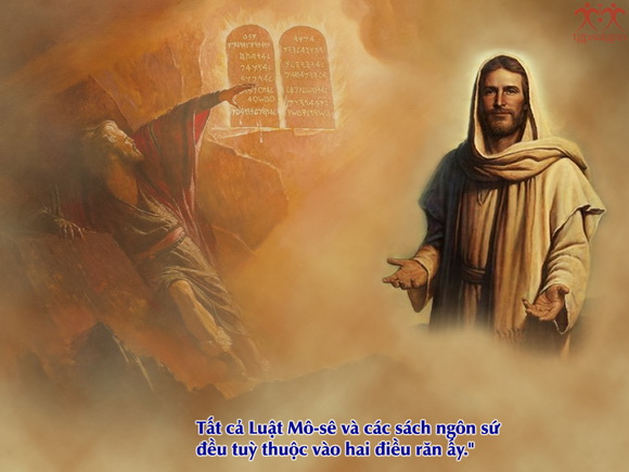 V 2017 CN30TN GreatCommand Mt22 34 40 7