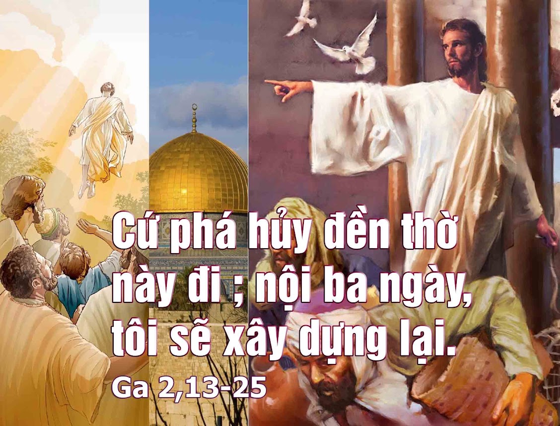 Vui học Thánh Kinh Chúa Nhật III Mùa Chay, năm B: “cứ phá hủy đền thờ này đi...”