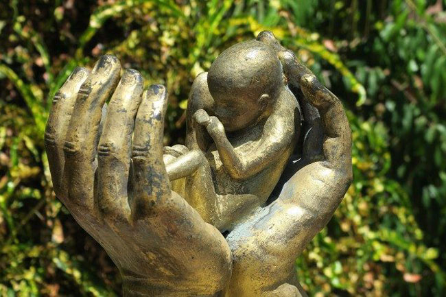 Hàn lâm viện Tòa Thánh về Sự sống: Không thể có một “quyền” tước đi sự sống con người