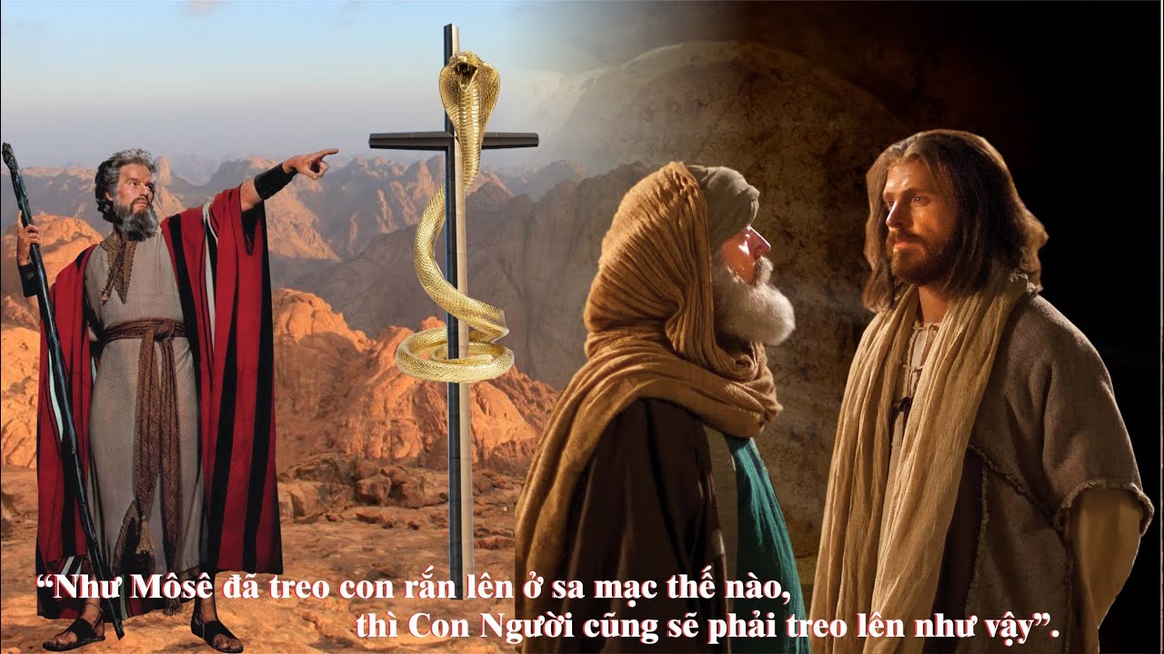 Suy niệm Chúa Nhật 4 Mùa Chay B - Lm. Xuân Hy Vọng