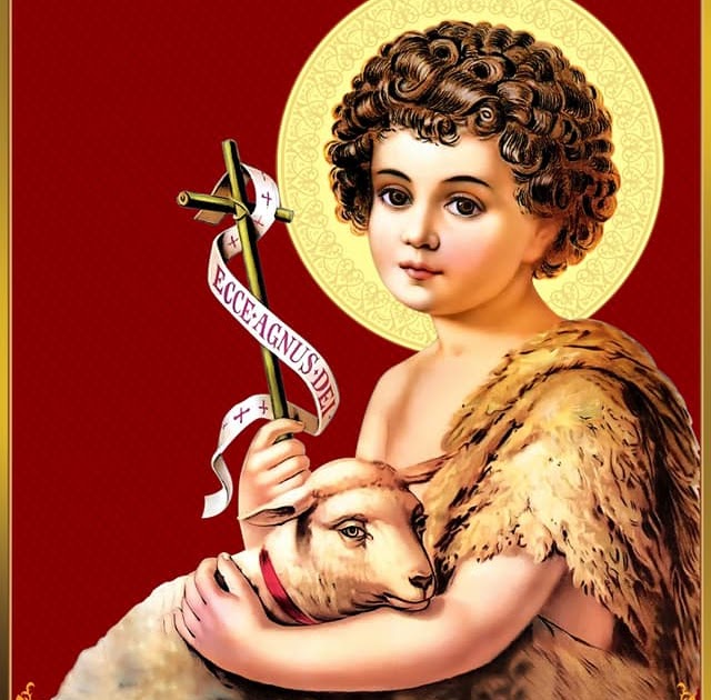 Suy niệm hằng ngày tuần XII thường niên - Lm. Gioan Phan Tiến Dũng