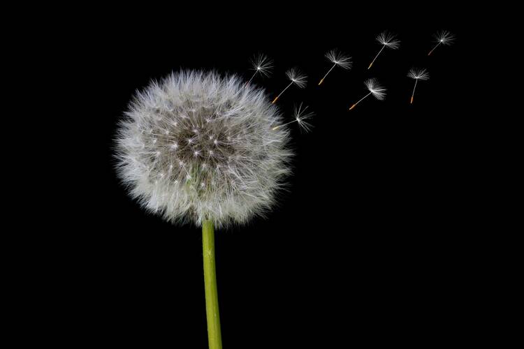 herbert goetsch SGKQh9wNgAk unsplash