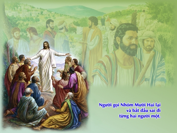 Suy niệm Lời Chúa, Chúa Nhật 15 Thường Niên - Lm Ga Phan Tiến Dũng