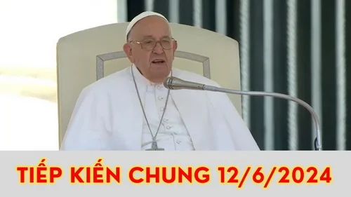 Tiếp kiến chung 12/6/2024: Hãy mang theo Sách Tin Mừng trong túi. Đọc Tin Mừng là điều quan trọng cho cuộc sống