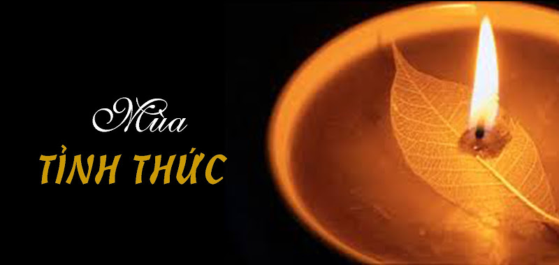 Suy niệm Lời Chúa, Chúa Nhật I Mùa Vọng - Lm Ga Phan Tiến Dũng