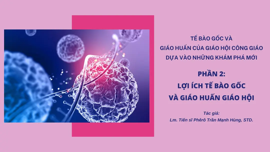 TẾ BÀO GỐC VÀ GIÁO HUẤN CỦA GIÁO HỘI CÔNG GIÁO DỰA VÀO NHỮNG KHÁM PHÁ MỚI (2): LỢI ÍCH TẾ BÀO GỐC VÀ GIÁO HUẤN GIÁO HỘI