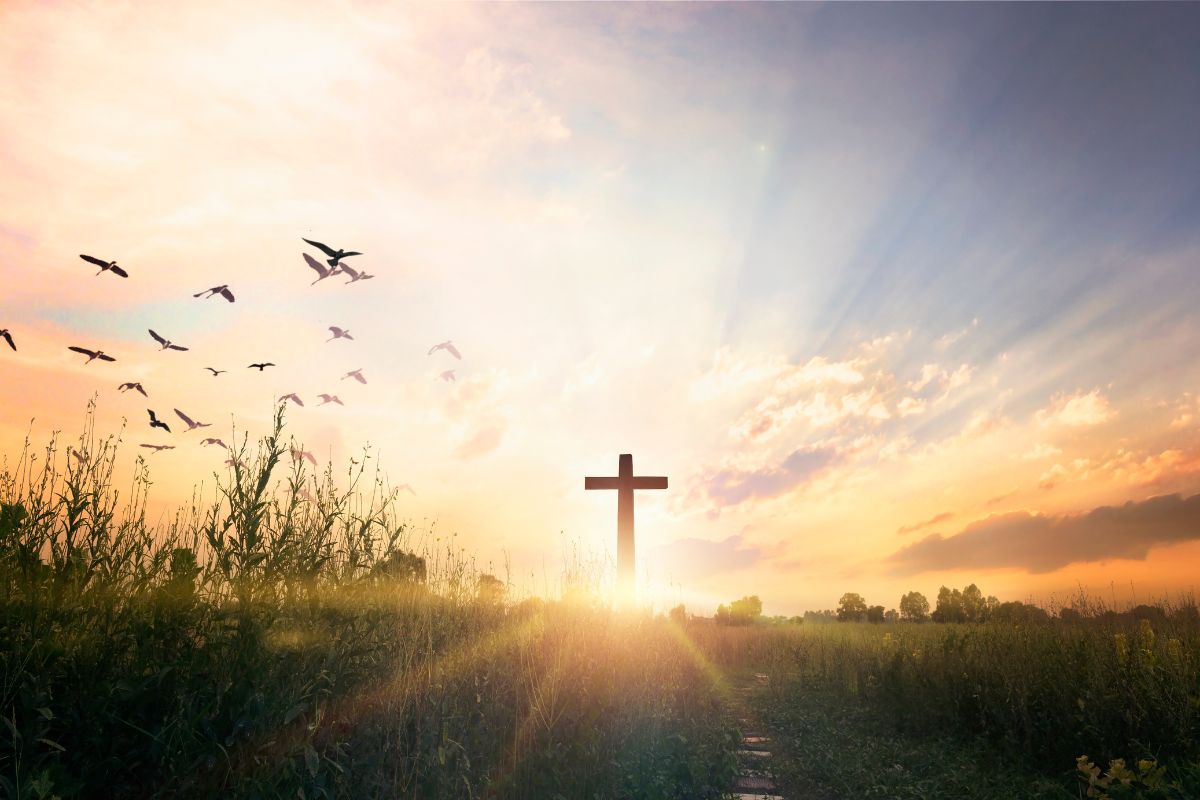 Jesus our hope