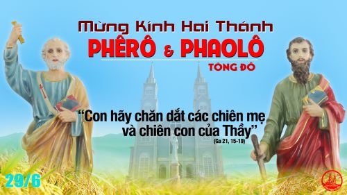 CN XIII TN T2 PHERO PHAOLO3