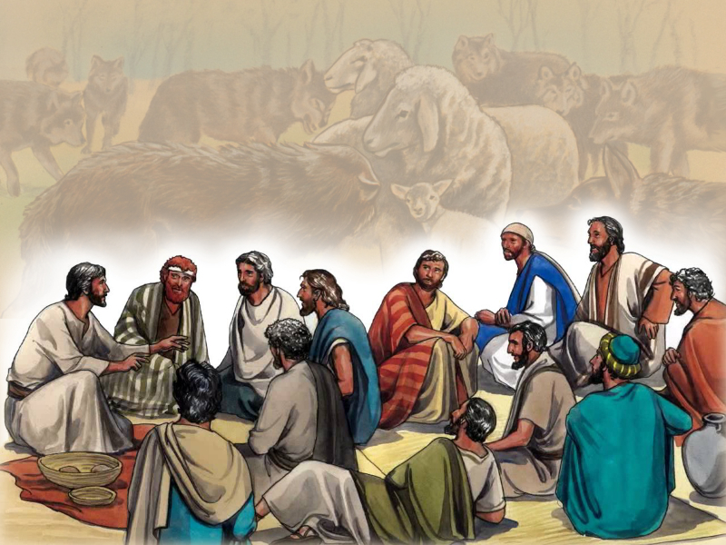 Suy Niệm Chúa Nhật 14 Thường Niên C - Lm. Xuân Hy Vọng