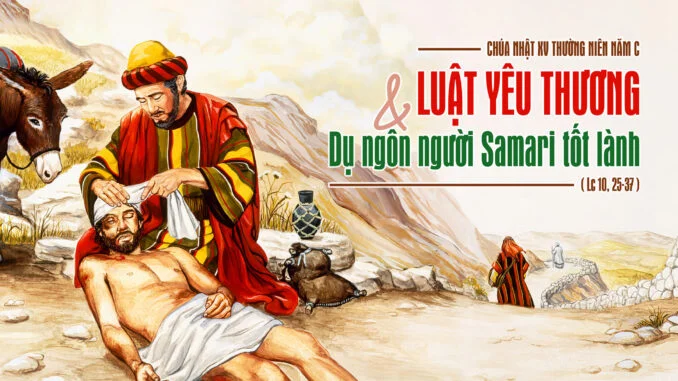 Suy niệm Tin Mừng Chúa Nhật XV thường niên C - Lm GB Phạm Hồng Thái