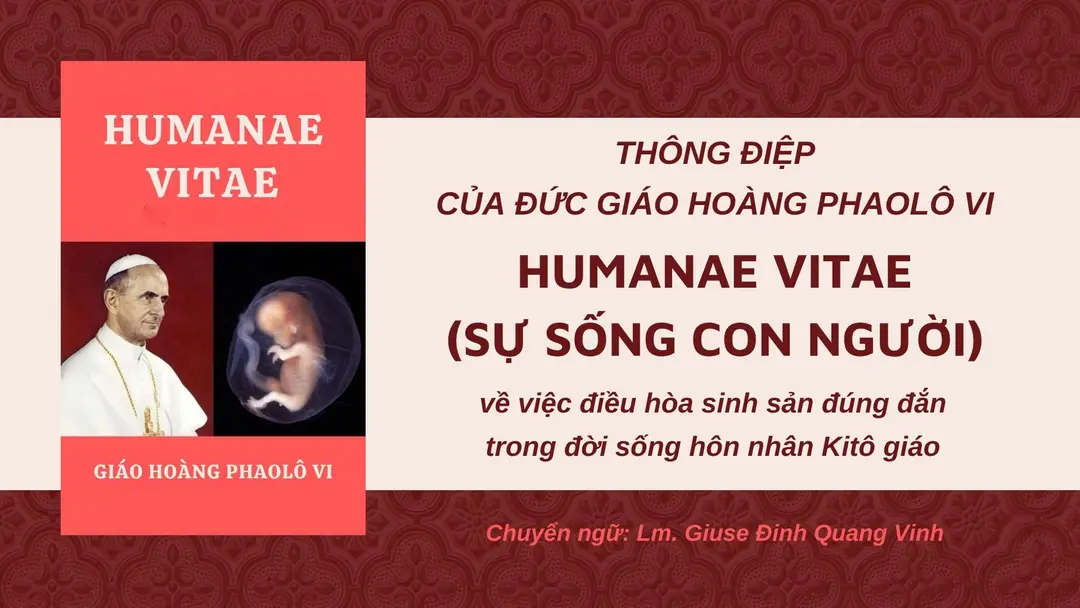 3f7fcf08 ed49 4438 91b6 4238995fa702