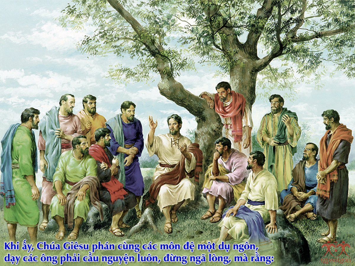 V 2016 CN29TN UnjustJudge Lc18 1 8 1