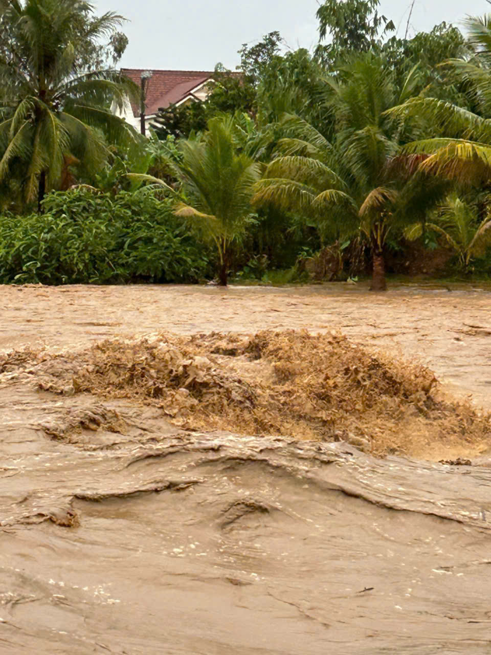 z7210271086376 6ac5b8b9aaff72dbc3fb70db13fc83f7