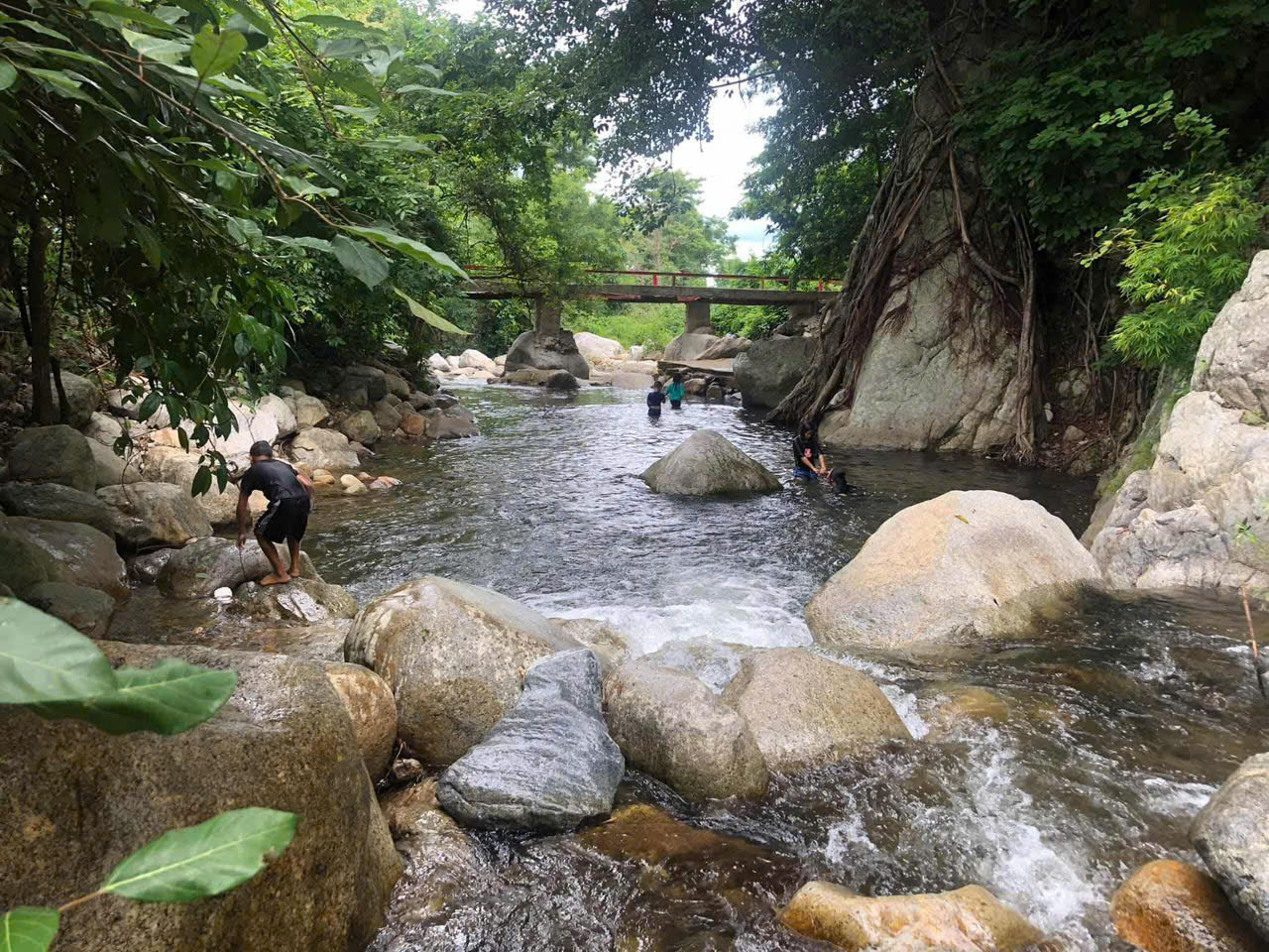 z7210271096894 f851d1dd71ded534bc8c247a9eccd7f2