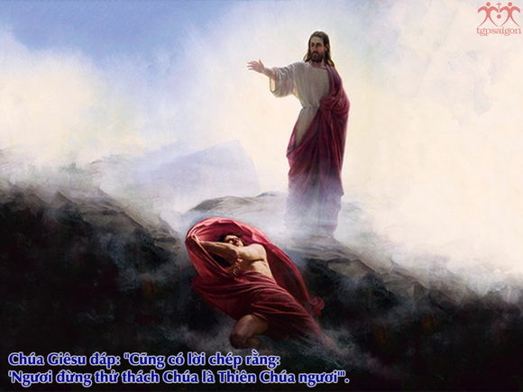 V 2017 CN1MC Temptation Mt4 1 11 8