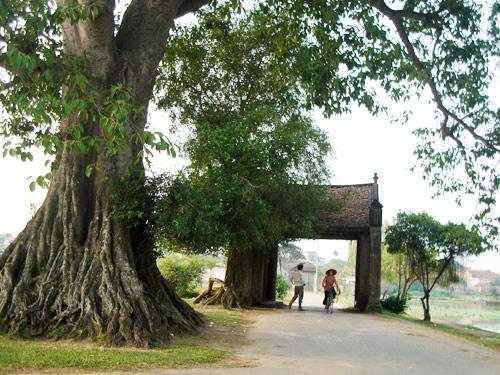 Ba Vi – a complex of interesting and wonderful sites - Destinations in Vietnam - Vietnam Tourism Information