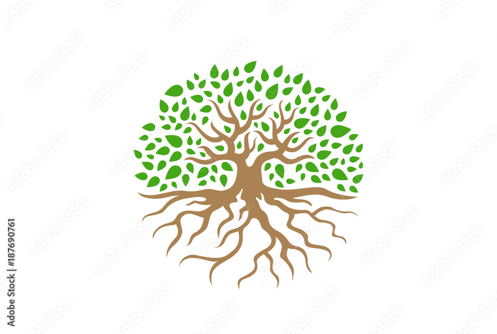 Circle Tree with Roots vector Illustration. Garden icon Stock Vector | Adobe Stock
