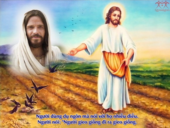 V 2017 CN15TN SOWER Mt13 1 9 3