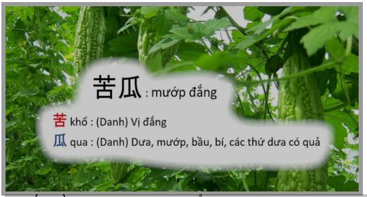 GẪM CHỮ “ĐẮNG”: Từ trái khổ qua đến “chén đắng” của đời người