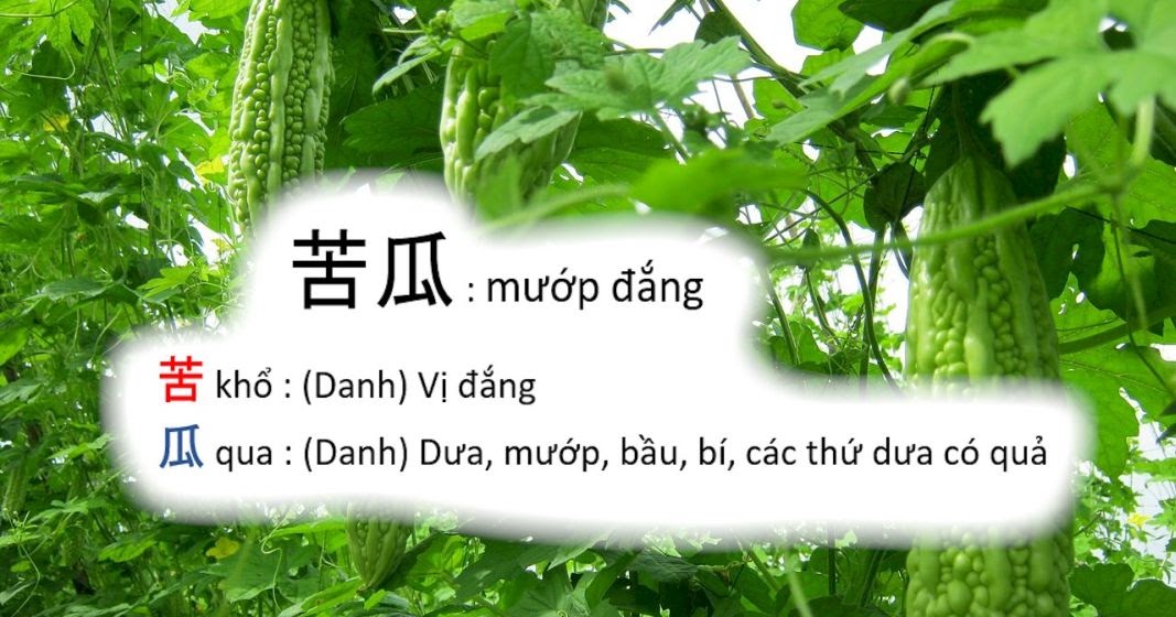 Khổ (Dukkha, 苦) - khổ qua, mướp đắng - Budsas